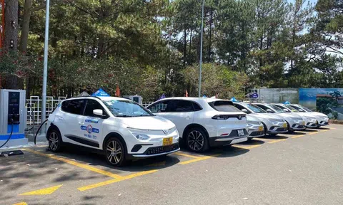 Giảm được hơn 30% chi phí vận hành taxi, "khách sộp" của GSM chốt đơn thêm 2.500 ô tô điện VinFast, đặt mục tiêu thay thế 90% xe xăng