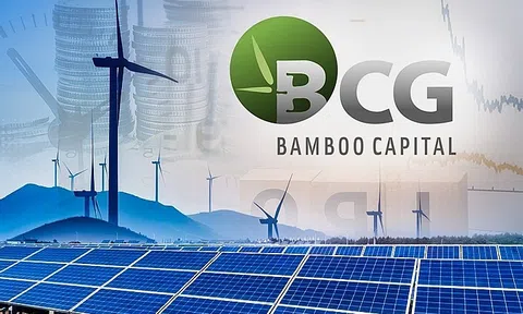 Bamboo Capital báo lãi quý I/2024 tăng hơn 11 lần so với cùng kỳ năm trước