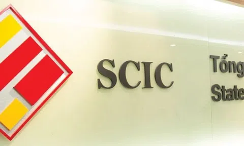 SCIC báo lợi nhuận năm 2023 tăng 100% so với cùng kỳ, tiếp tục tăng lượng tiền gửi ngân hàng