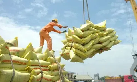 Giá xuất khẩu gạo tăng cao