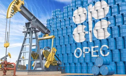 OPEC: 'Loại bỏ dầu mỏ là điều viển vông'