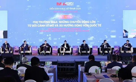 Thị trường M&A phục hồi